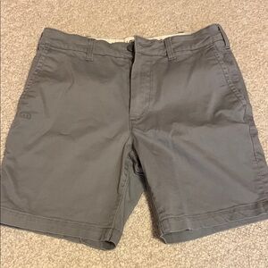 American Eagle Outfitters Gray Flat Front Shorts